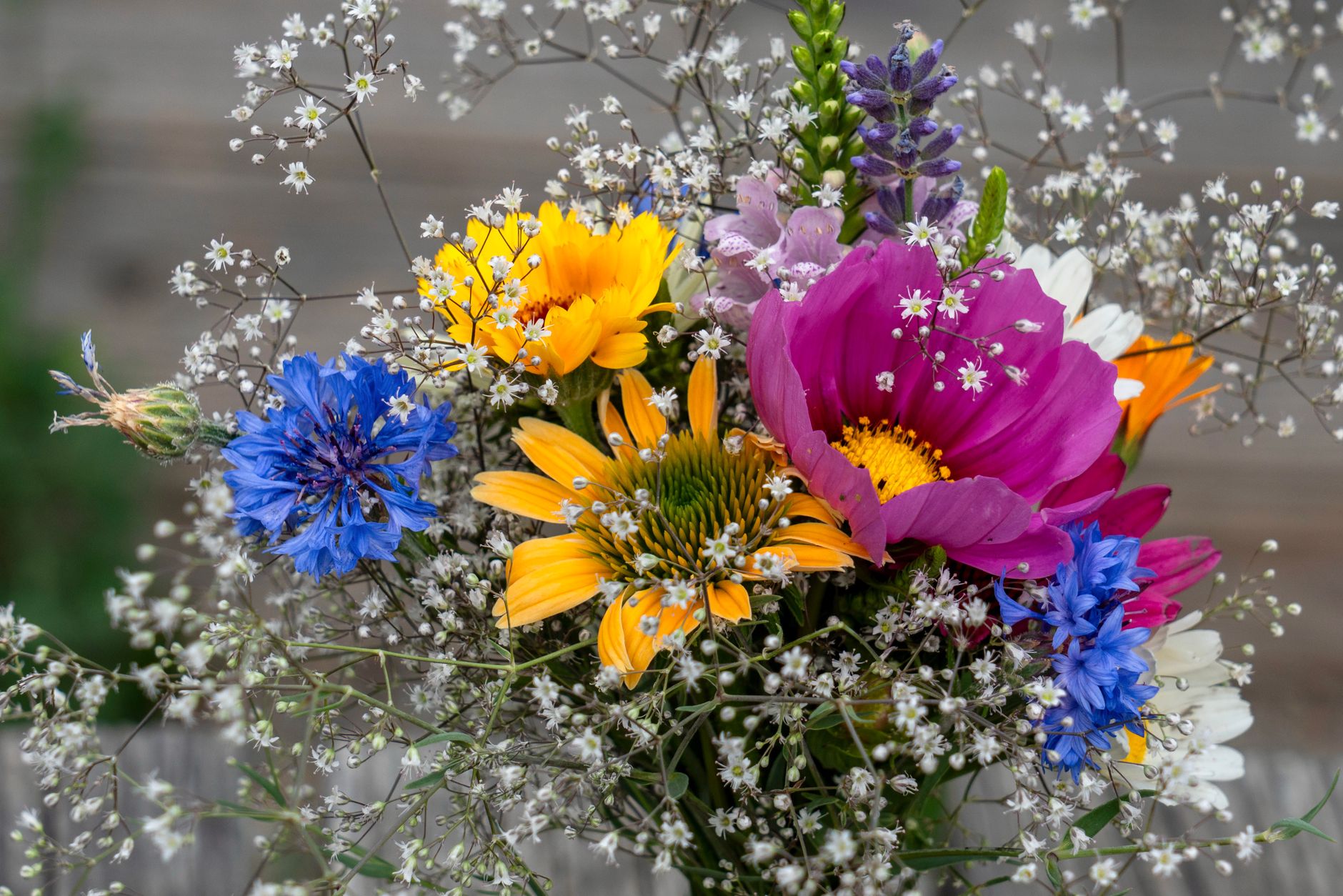 Bouquet champêtre